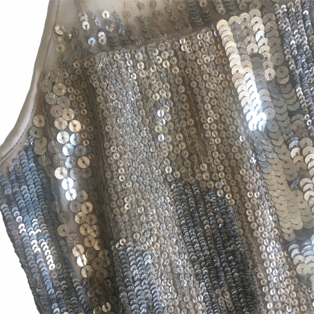 new Parker ❤︎ Sequin Sleeveless Evening Top ❤︎ Sheer Yoke Tank ❤︎ Silver Large - Picture 5 of 12